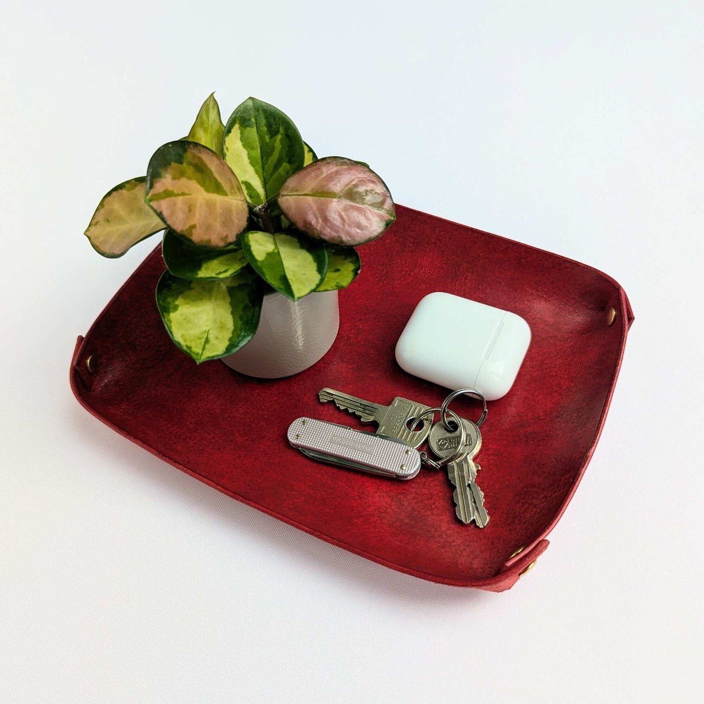 Alejandro - Lederschale, Valet tray